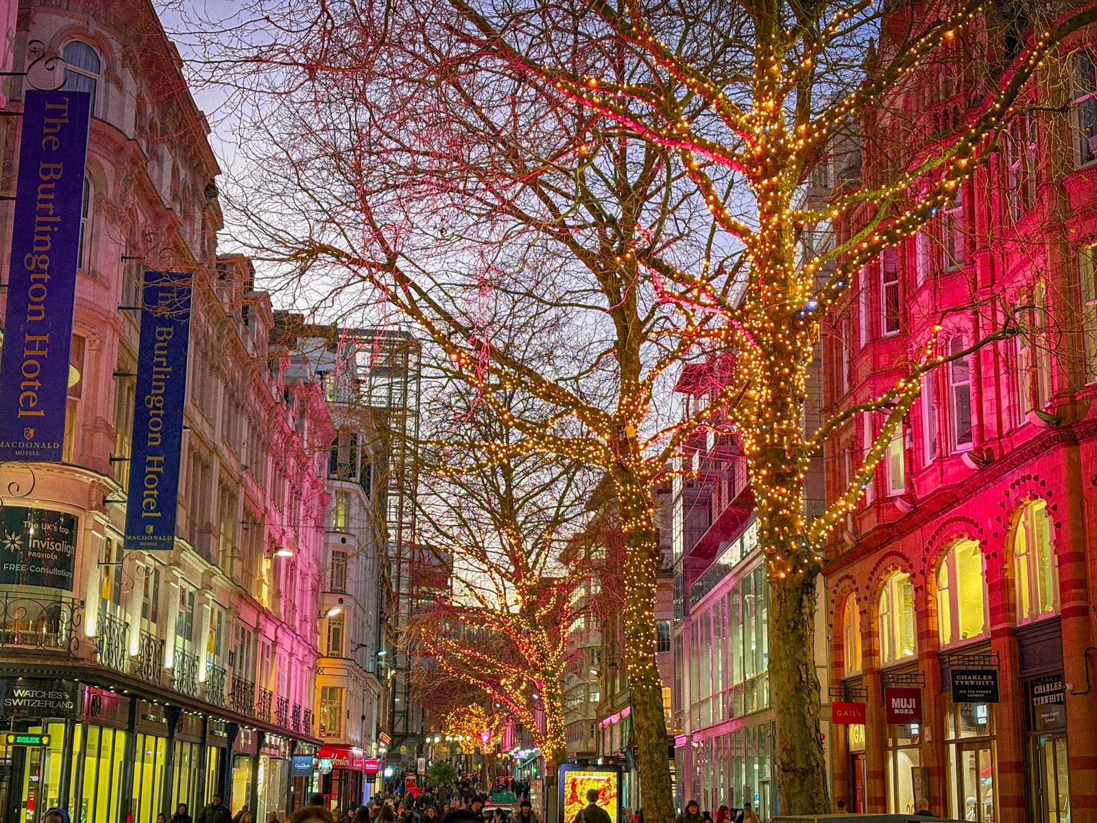 Birmingham city centre’s pretty twinkling tree lights to remain year-round