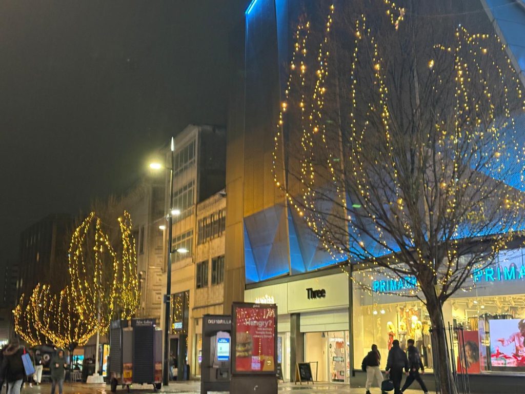 Birmingham city centre LED tree lights in New Street